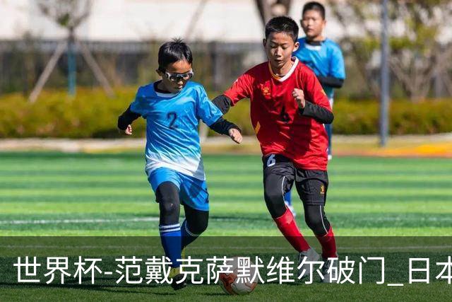 世界杯-范戴克萨默维尔破门 日本2度扳回2-2绝平荷兰